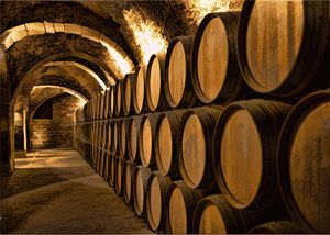 A Wine Barrel's Life