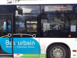 Bus urbain: arrêt fantôme !