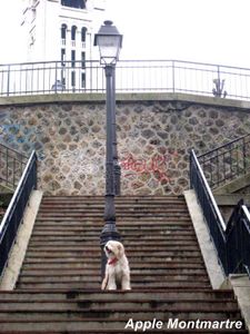 Le nombre de marches à Montmartre