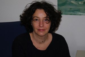 Démocratie participative dans le projet de loi décentralisation : « la réforme manque d’ambition » – Marion Paoletti, Maître de conférences