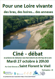 Pour une Loire vivante Des bras, des boires... des annexes