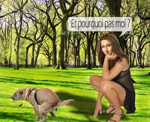 auteur anonyme malgré tout remercié pour cette image de bon goût.