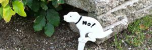 Des kilogrammes de crottes de chien dans le centre bourg d'Ingrandes - Le Fresne sur Loire, pendant combien de temps encore ?