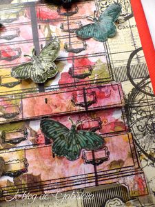 Paris flea N°3