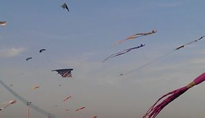 COP 21: échec attendu ?