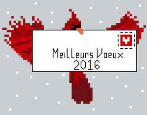 Mes vœux pour 2016