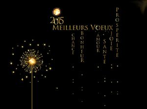 Assemblée générale 2015