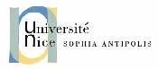 Master Neuropsychologie et Psychologie du Développement 2016/2017 - Unice