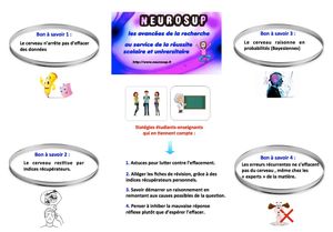 Cerveau et apprentissages - 5 juillet 2016