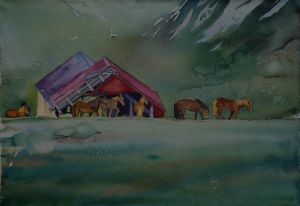 chevaux islandais
