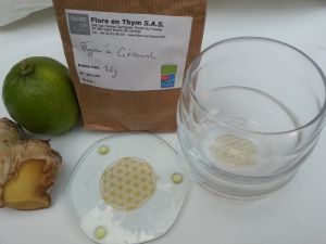 Infusion au gingembre