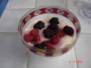 Panna cotta