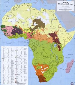 L'Afrique est-elle schizophrène ?