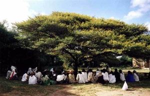 L'Arbre à Palabres, véritable organe d'une démocratie directe.