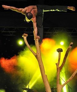 Y’a du courcirkoui dans le cabaret