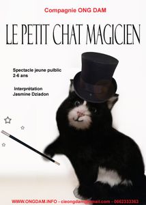 Le petit chat magicien