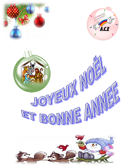 Voeux de l'ACE pour 2016