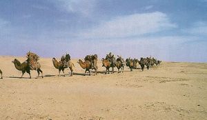 Le désert changé en oasis