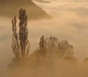Corps brisé