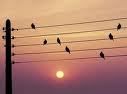 L'hiver approche
