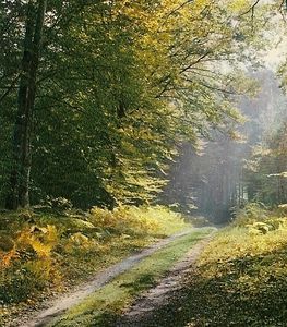 Sur les chemins du bonheur