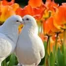 La Tendresse