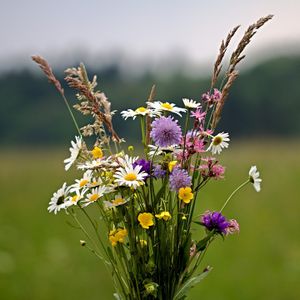 La mauvaise herbe ou le bouquet
