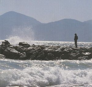 La mer et l'étoile solitaire