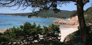 1983, la Corse