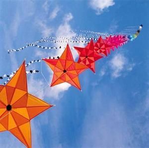 Lucanes et cerf-volant