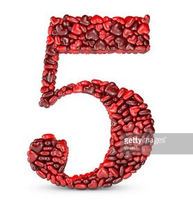 Visite du 5ème Mois