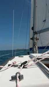 Petite pause