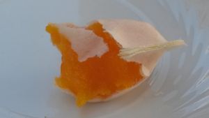 Voyage au Portugal - juin 2016 (1)