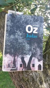 Gallimard août 2016 - 352 pages - traduit de l'Hébreu par Sylvie Cohen