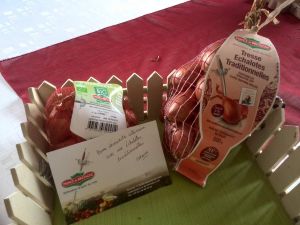 tartelette à l'échalote confite
