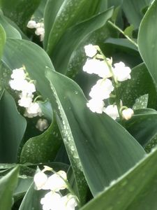 top 5 d'avril 2015