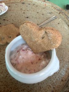 tartinade de radis au fromage