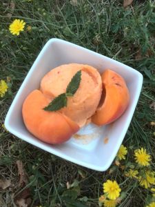 sorbet à l'abricot