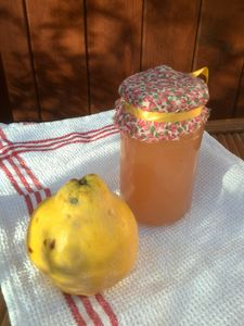 gelée de coing au thermomix