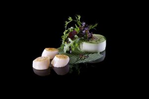 Visions Gourmandes - L'art de dresser une assiette comme un Chef
