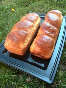 brioche moelleuse