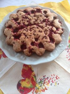 gâteau aux framboises super rapide au thermomix ou pas