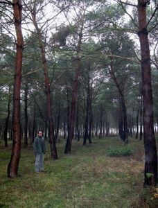 Les vols de câbles en cuivre au parc du Sausset d’Aulnay-sous-Bois ont coûté 200000 euros au département en 2014