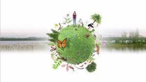 Des jeux pour découvrir la biodiversité au parc Ballanger d’Aulnay-sous-Bois