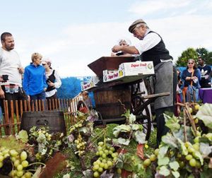 Fête des jardins 2015 à Aulnay-sous-Bois