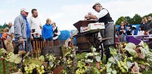 Fête de la vigne et des saveurs 2015 au parc du Sausset à Aulnay-sous-Bois