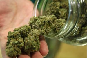 Condamnations à 5 et 7 ans de prison pour trafic de cannabis à Sevran