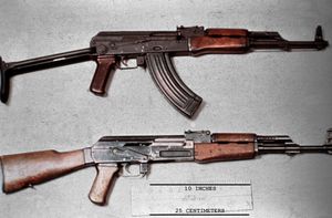 Deux armes de guerre trouvées dans un jardin au Blanc-Mesnil