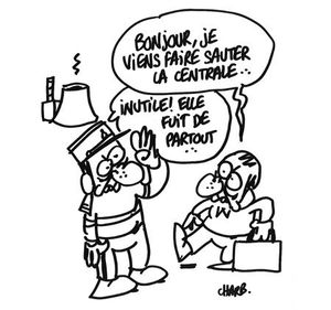 « Criminalisation des intrusions dans les centrales : l’arbre qui cache la forêt du risque nucléaire »