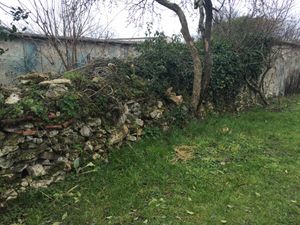 Montreuil : on se retrousse les manches pour les murs-à-Pêches …